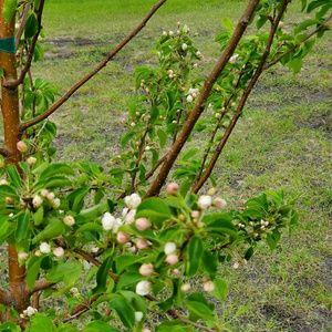 Meet your Posher, Halie